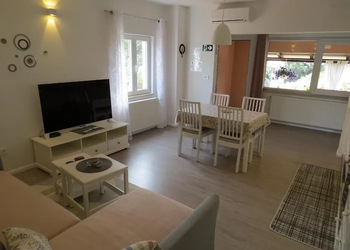 Apartment Vodaric *